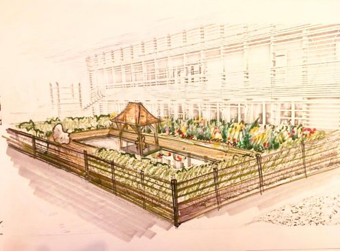 Sketch of the Landscaping for the Pool that Flanks the Institute