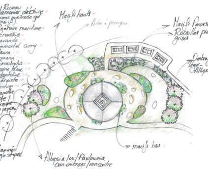 Un jardin sort de terre